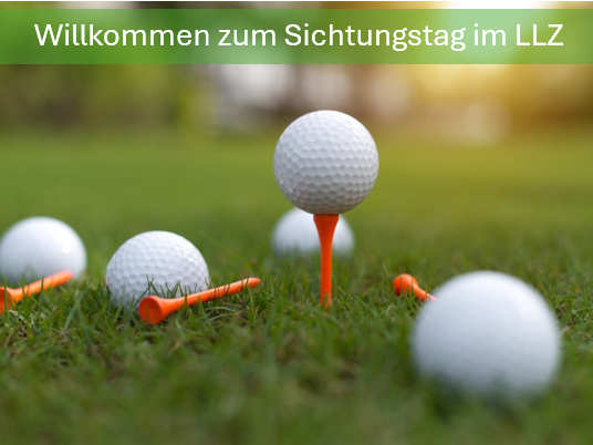 Bild.png  