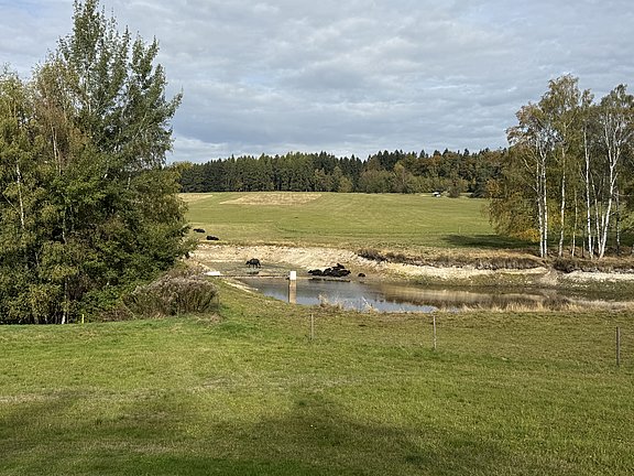 IMG_6800.JPG  